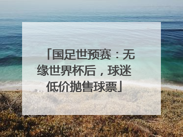 国足世预赛：无缘世界杯后，球迷低价抛售球票