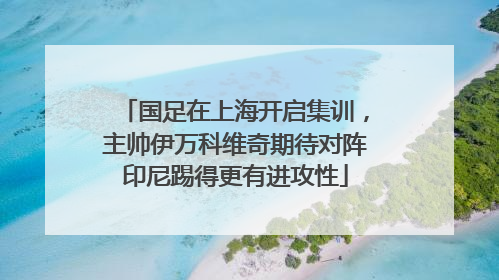 国足在上海开启集训，主帅伊万科维奇期待对阵印尼踢得更有进攻性