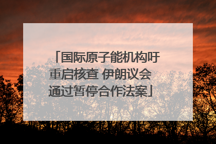 国际原子能机构吁重启核查 伊朗议会通过暂停合作法案