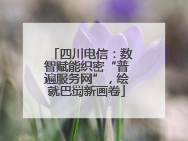 四川电信：数智赋能织密“普遍服务网”，绘就巴蜀新画卷