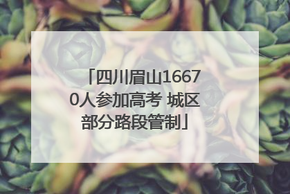 四川眉山16670人参加高考 城区部分路段管制