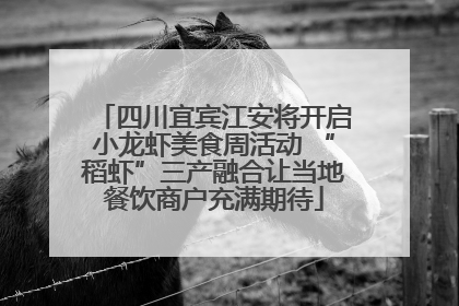 四川宜宾江安将开启小龙虾美食周活动 “稻虾”三产融合让当地餐饮商户充满期待