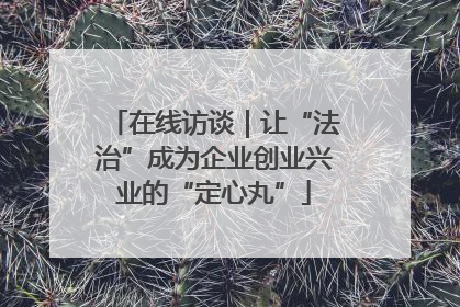 在线访谈｜让“法治”成为企业创业兴业的“定心丸”