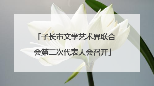 子长市文学艺术界联合会第二次代表大会召开