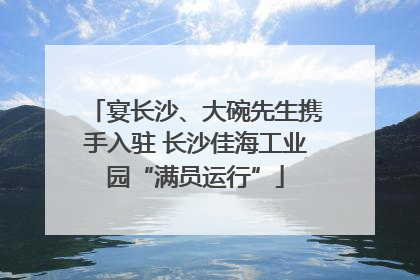 宴长沙、大碗先生携手入驻 长沙佳海工业园“满员运行”