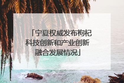 宁夏权威发布枸杞科技创新和产业创新融合发展情况