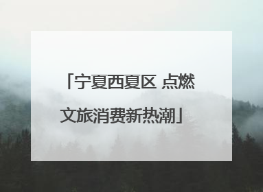 宁夏西夏区 点燃文旅消费新热潮