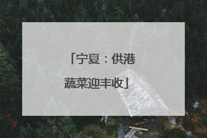 宁夏：供港蔬菜迎丰收