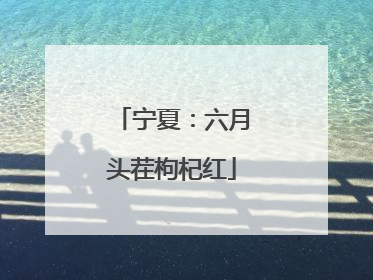 宁夏：六月头茬枸杞红