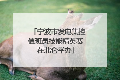 宁波市发电集控值班员技能精英赛在北仑举办