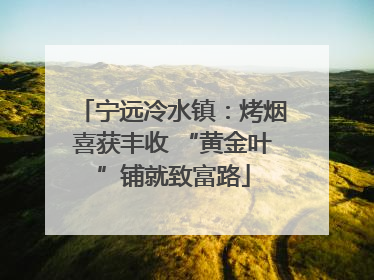 宁远冷水镇：烤烟喜获丰收 “黄金叶”铺就致富路