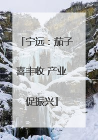 宁远：茄子喜丰收 产业促振兴