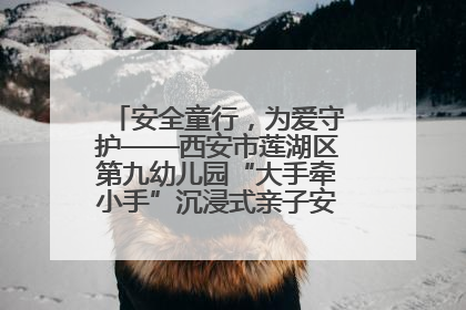 安全童行，为爱守护——西安市莲湖区第九幼儿园“大手牵小手”沉浸式亲子安全体验活动