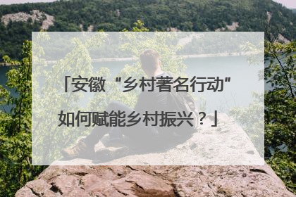 安徽“乡村著名行动”如何赋能乡村振兴？