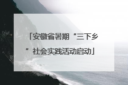 安徽省暑期“三下乡”社会实践活动启动