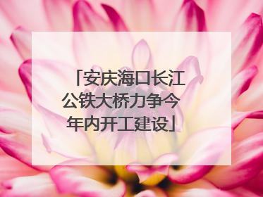安庆海口长江公铁大桥力争今年内开工建设