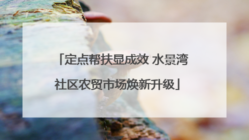 定点帮扶显成效 水景湾社区农贸市场焕新升级