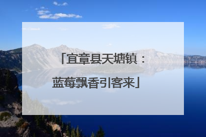宜章县天塘镇：蓝莓飘香引客来