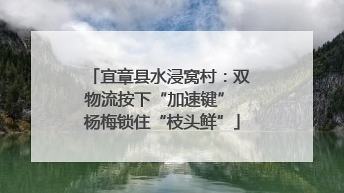 宜章县水浸窝村：双物流按下“加速键” 杨梅锁住“枝头鲜”