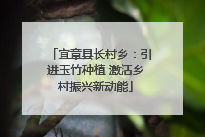 宜章县长村乡：引进玉竹种植 激活乡村振兴新动能
