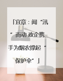 宜章：闻“汛”而动 政企携手为烟农撑起“保护伞”
