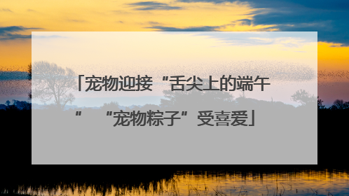 宠物迎接“舌尖上的端午” “宠物粽子”受喜爱
