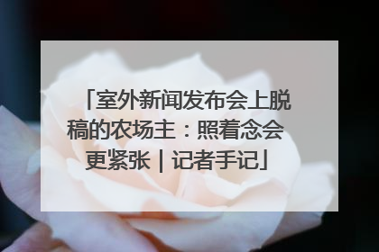 室外新闻发布会上脱稿的农场主：照着念会更紧张｜记者手记