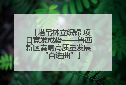 塔吊林立织锦 项目竞发成势——鲁西新区奏响高质量发展“奋进曲”