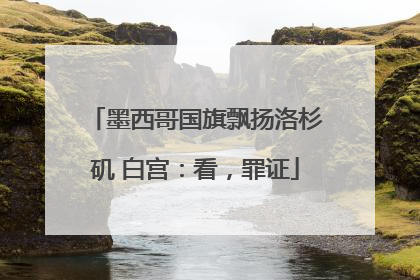 墨西哥国旗飘扬洛杉矶 白宫：看，罪证