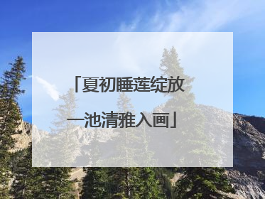 夏初睡莲绽放 一池清雅入画