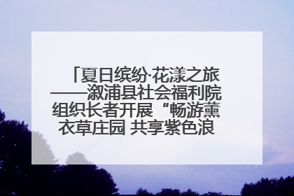 夏日缤纷·花漾之旅——溆浦县社会福利院组织长者开展“畅游薰衣草庄园 共享紫色浪漫”户外活动