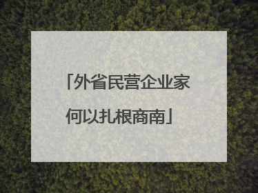 外省民营企业家何以扎根商南