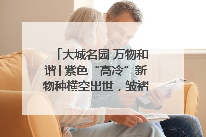 大城名园 万物和谐│紫色“高冷”新物种横空出世，皱褶叶片暗藏进化密码