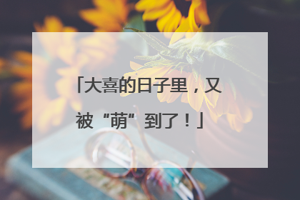 大喜的日子里，又被“萌”到了！