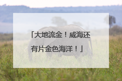 大地流金！威海还有片金色海洋！