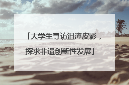 大学生寻访沮漳皮影，探求非遗创新性发展