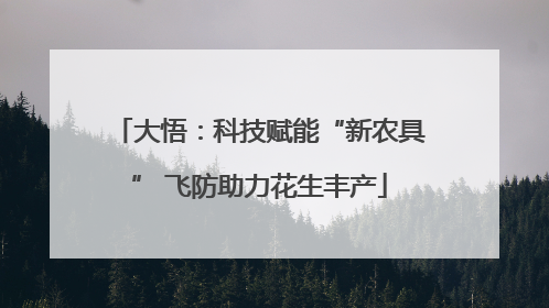 大悟：科技赋能“新农具” 飞防助力花生丰产