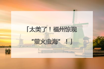太美了！福州惊现“萤火虫海”！
