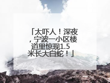 太吓人！深夜，宁波一小区楼道里惊现1.5米长大白蛇！