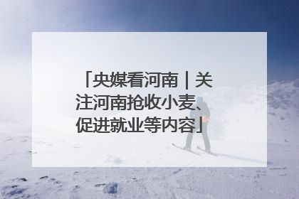 央媒看河南｜关注河南抢收小麦、促进就业等内容