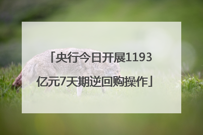 央行今日开展1193亿元7天期逆回购操作