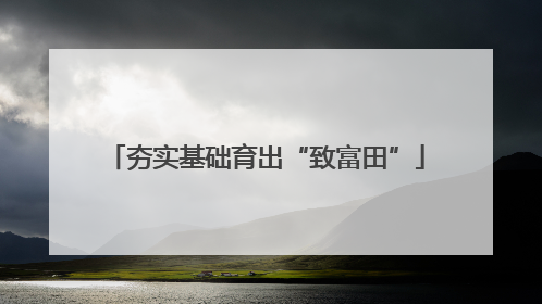 夯实基础育出“致富田”
