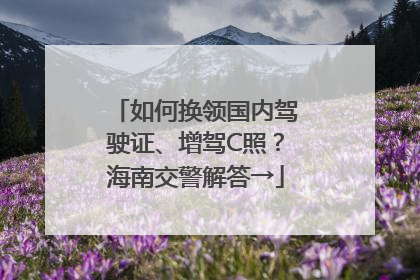 如何换领国内驾驶证、增驾C照？海南交警解答→