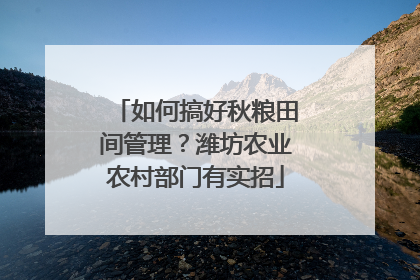 如何搞好秋粮田间管理？潍坊农业农村部门有实招