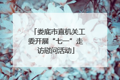 娄底市直机关工委开展“七一”走访慰问活动