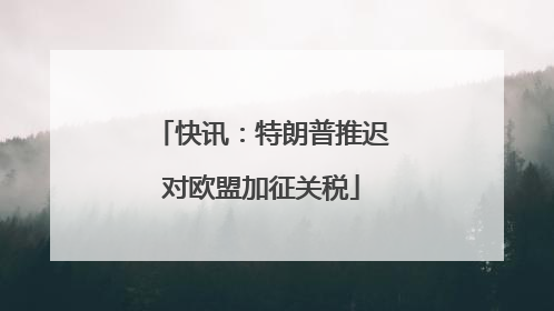 快讯：特朗普推迟对欧盟加征关税