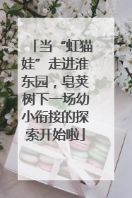 当“虹猫娃”走进淮东园，皂荚树下一场幼小衔接的探索开始啦