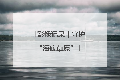 影像记录｜守护“海底草原”