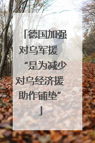 德国加强对乌军援 “是为减少对乌经济援助作铺垫”
