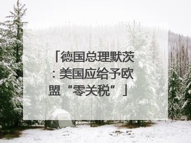 德国总理默茨：美国应给予欧盟“零关税”